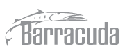 Barracuda